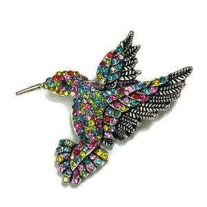 Multi Colored Hummingbird Brooch
